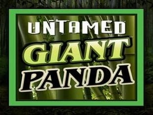 Untamed - Giant Panda game icon